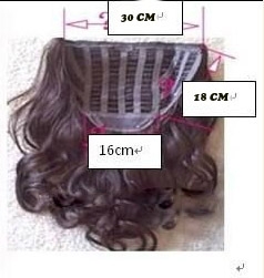 Half Wig Half Wig